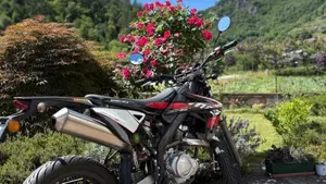Rieju Marathon 125 Motard Pro (2017 - 20)  (4)