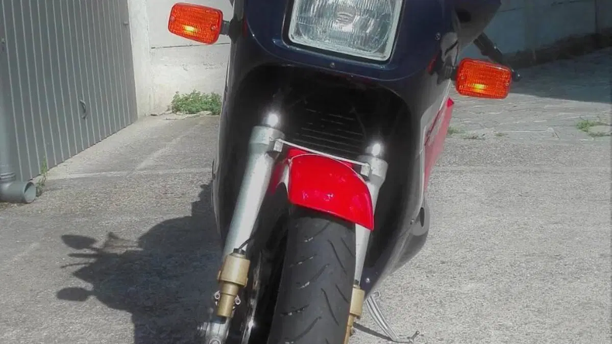 Suzuki   (3)