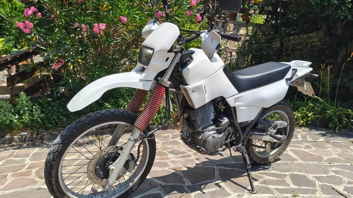 Yamaha XT 600 E (1990 - 04)  (4)