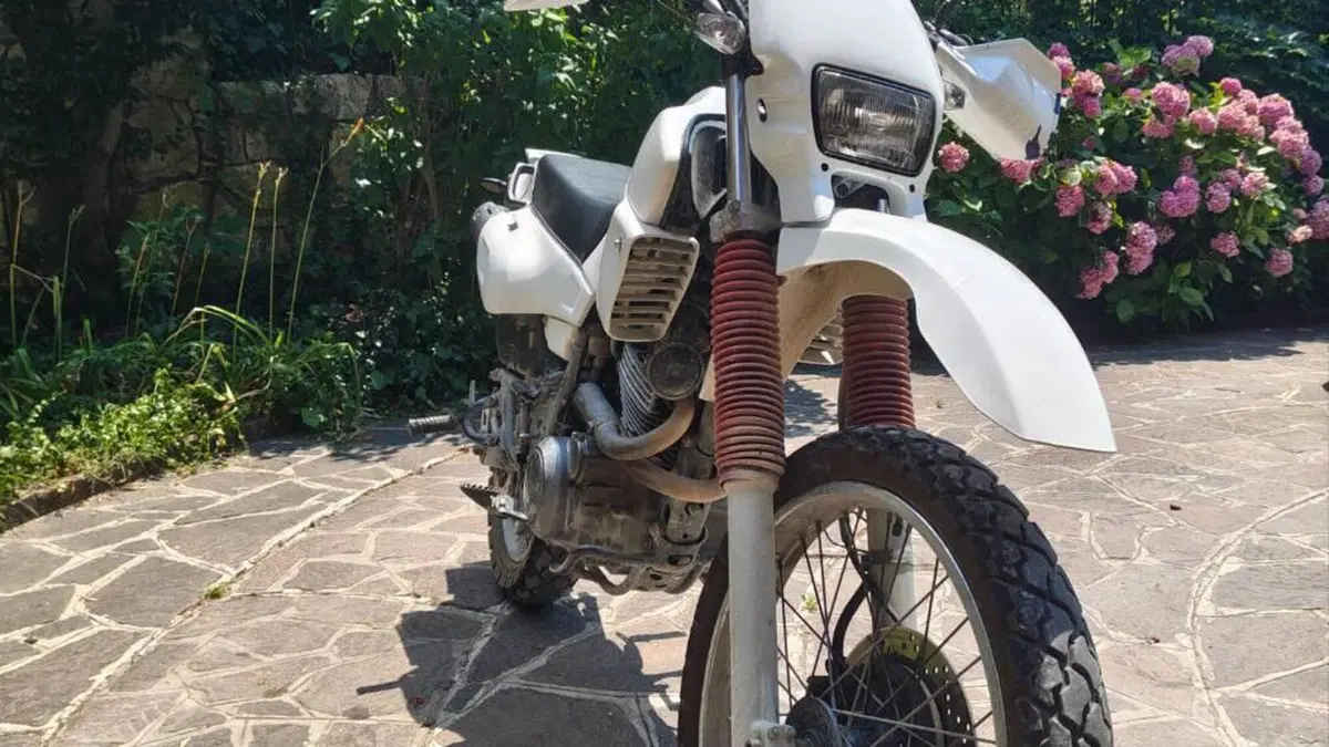 Yamaha XT 600 E (1990 - 04)  (3)