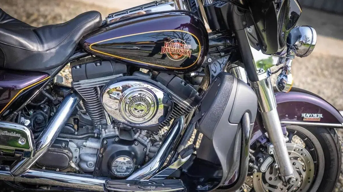 Harley-Davidson 1450 Electra Glide Standard (2001 - 03) - FLHT  (3)