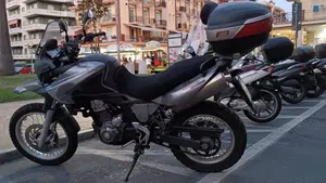Aprilia Pegaso 650 Trail (2006 - 11)  (7)