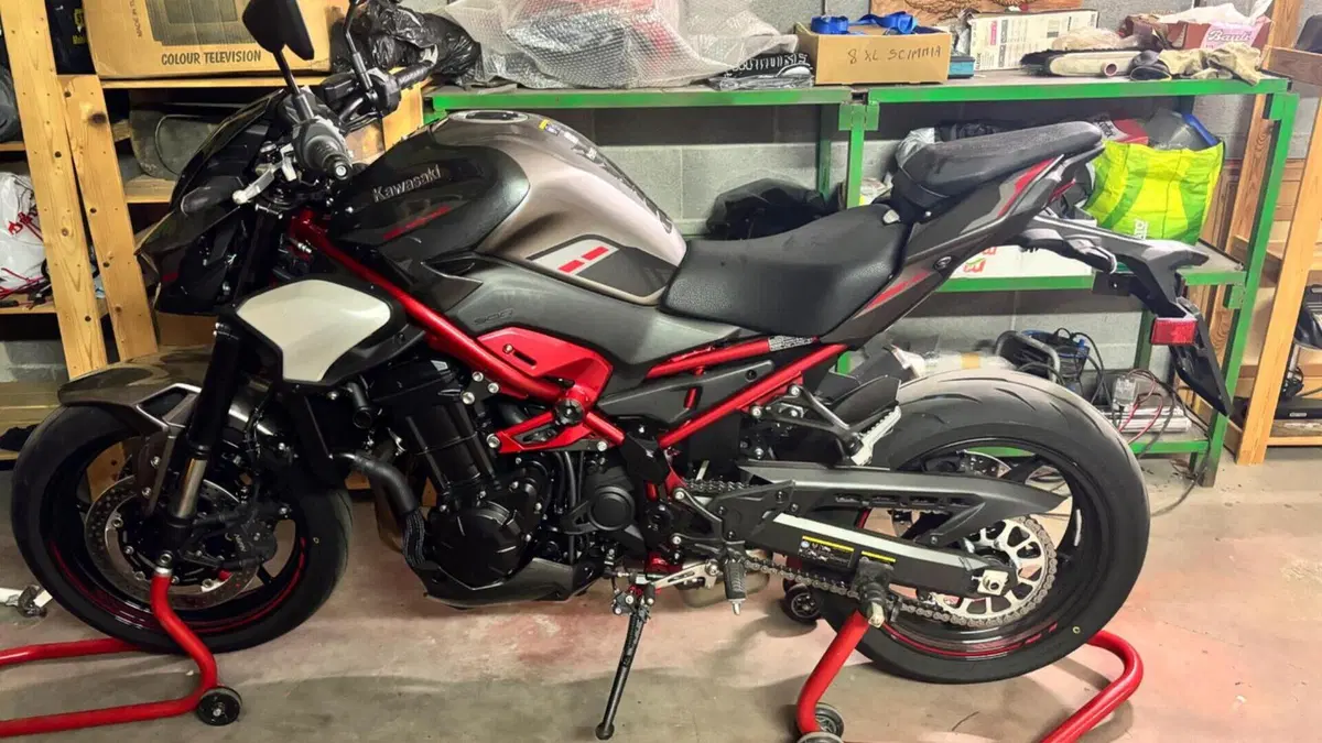 Kawasaki Z 900 A2 (2025 - 26) 