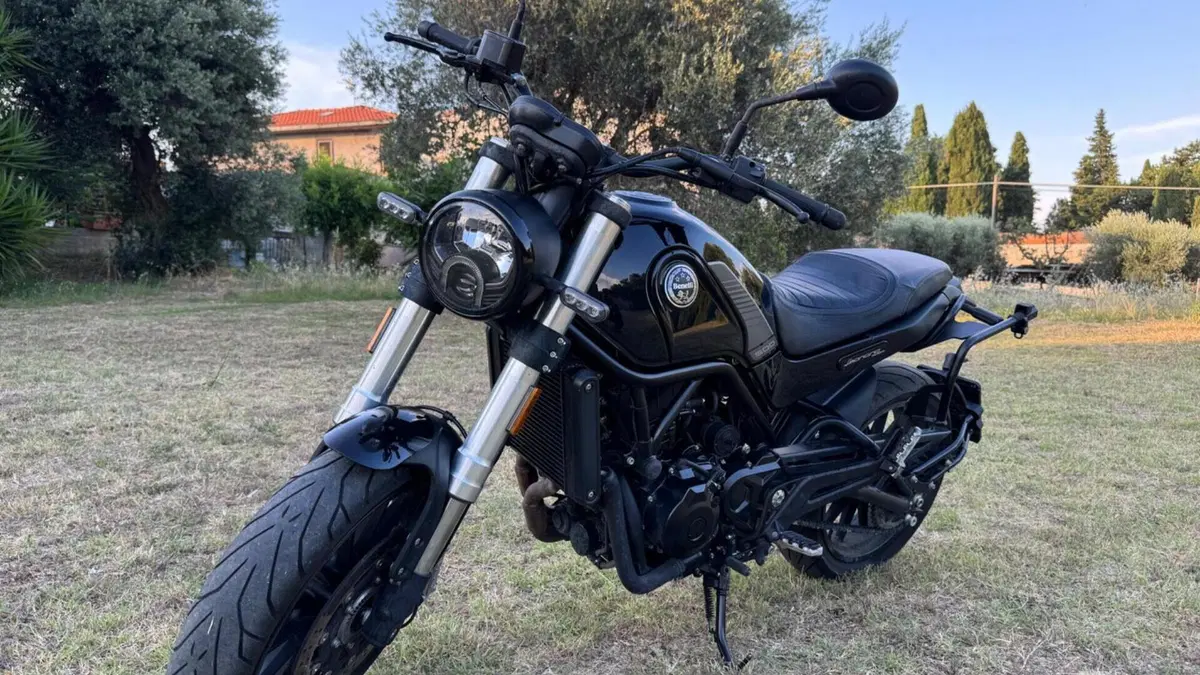 Benelli Leoncino 500 (2021 - 25) 