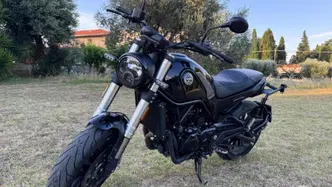 Benelli Leoncino 500 (2021 - 25) usata