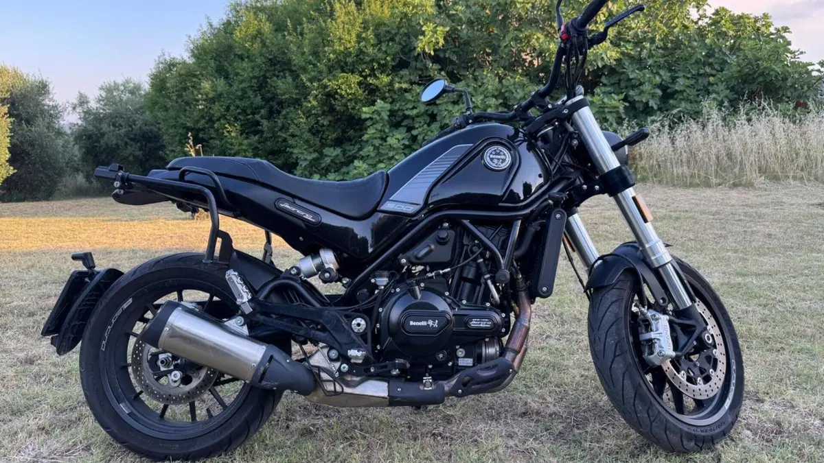 Benelli Leoncino 500 (2021 - 25)  (2)