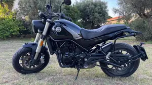 Benelli Leoncino 500 (2021 - 25)  (5)