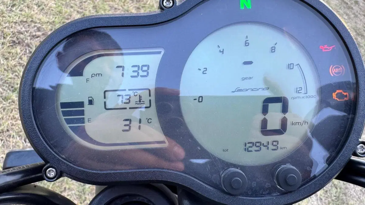 Benelli Leoncino 500 (2021 - 25)  (6)