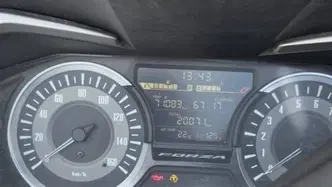 Honda Forza 300 Deluxe ABS (2018 - 20) usata