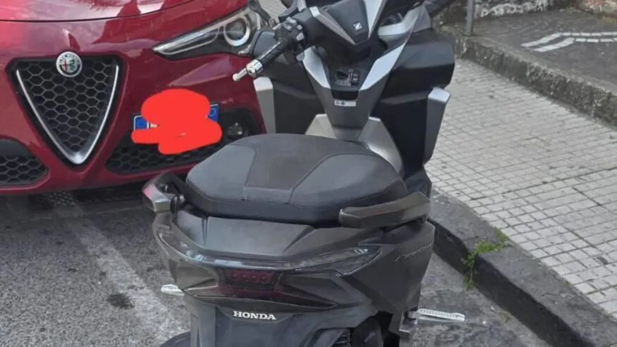Honda Forza 300 Deluxe ABS (2018 - 20)  (2)