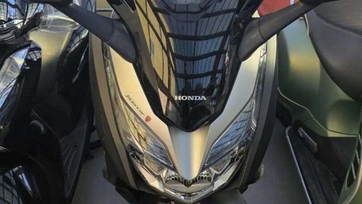 Honda Forza 300 Deluxe ABS (2018 - 20)  (3)