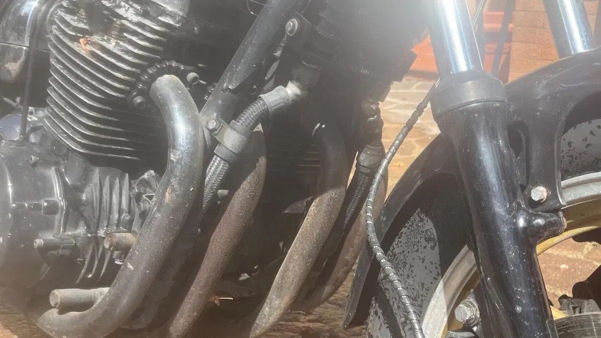 Yamaha   (7)