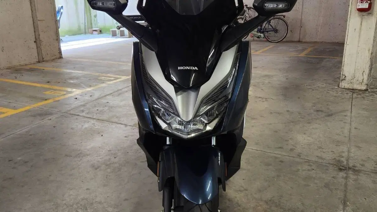 Honda Forza 300 ABS (2018 - 20)  (2)
