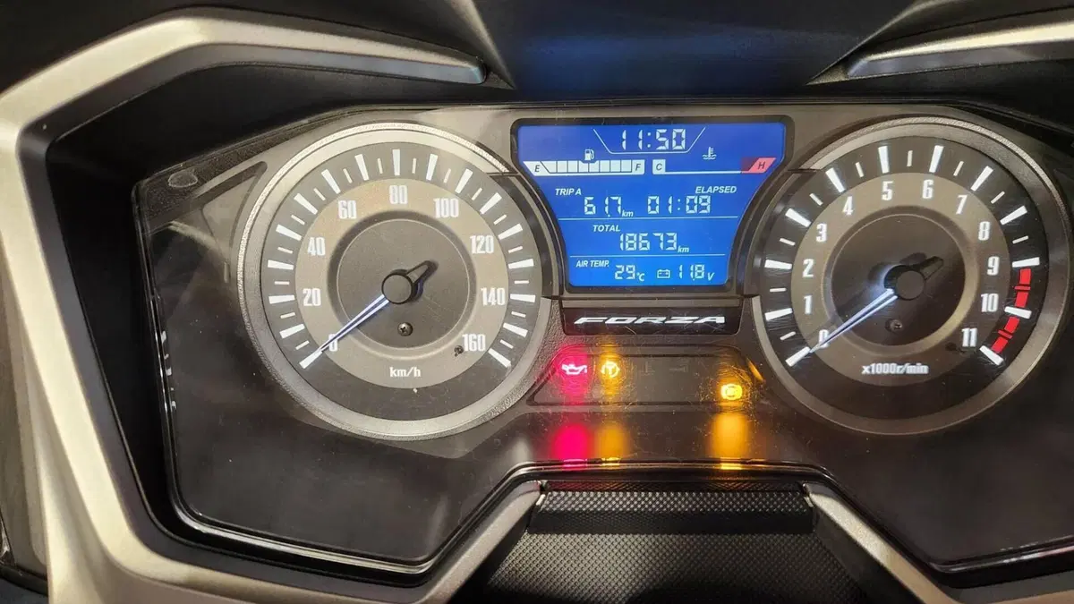 Honda Forza 300 ABS (2018 - 20)  (5)