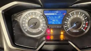Honda Forza 300 ABS (2018 - 20)  (5)