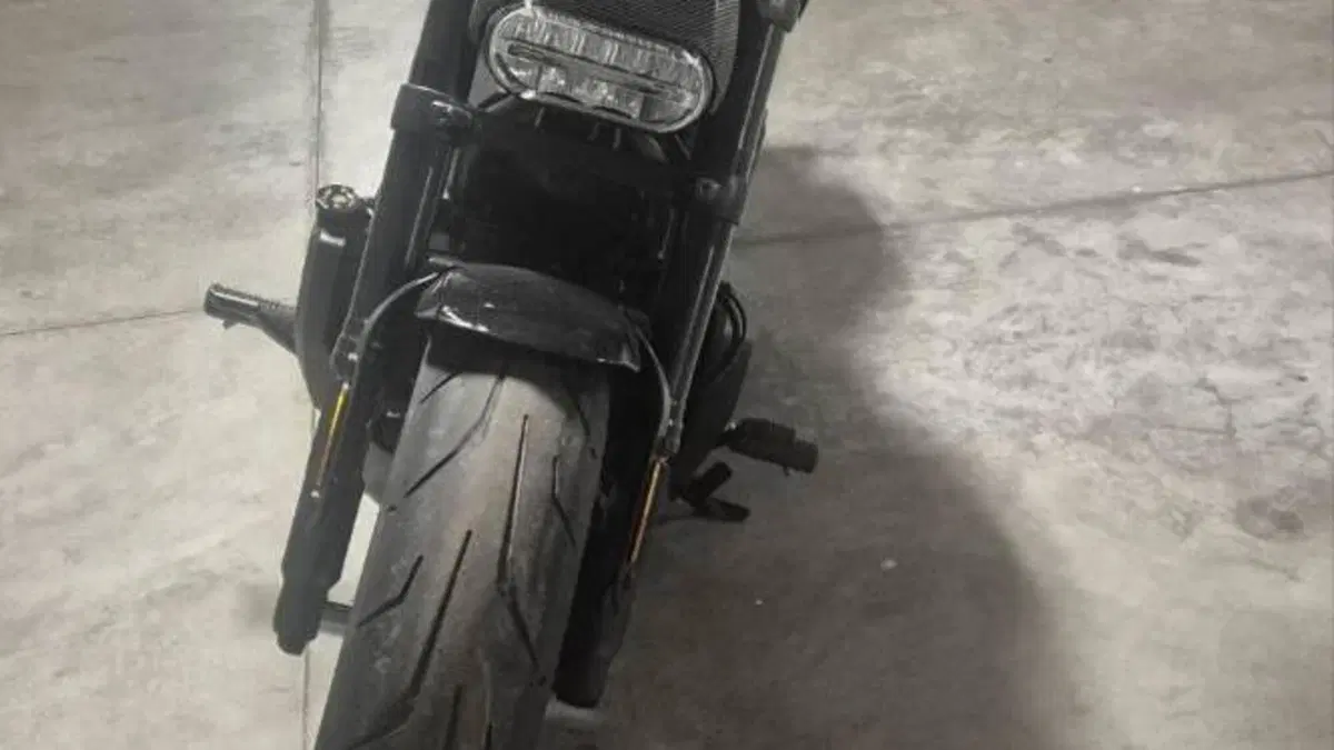 Harley-Davidson Sportster S (2022 - 24) 