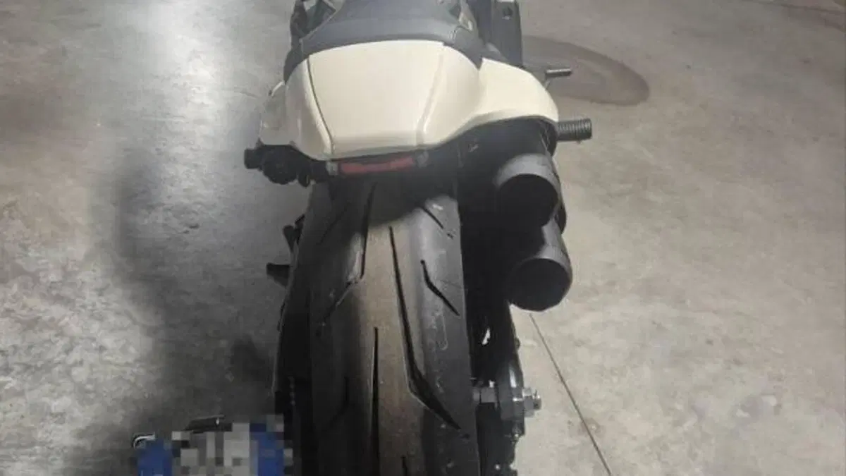 Harley-Davidson Sportster S (2022 - 24)  (2)