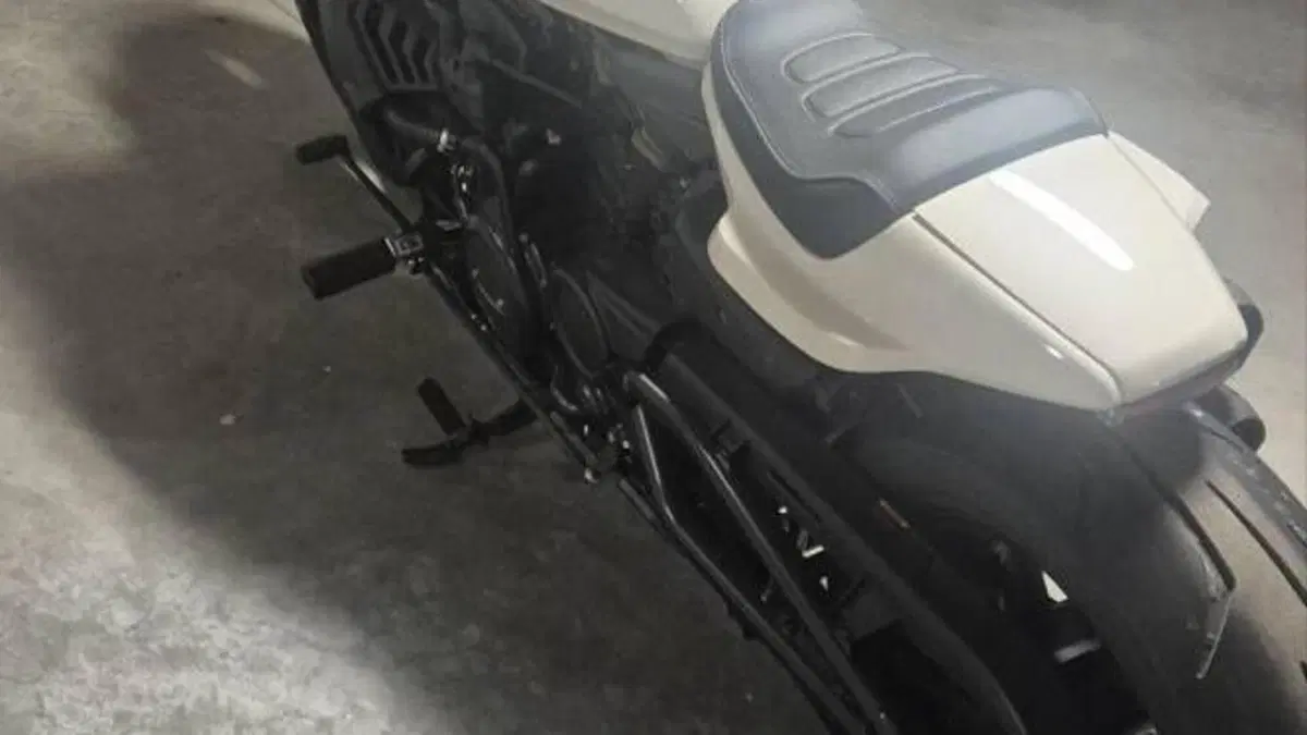 Harley-Davidson Sportster S (2022 - 24)  (3)