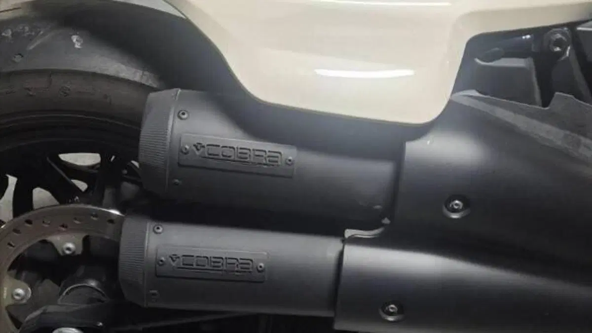 Harley-Davidson Sportster S (2022 - 24)  (4)