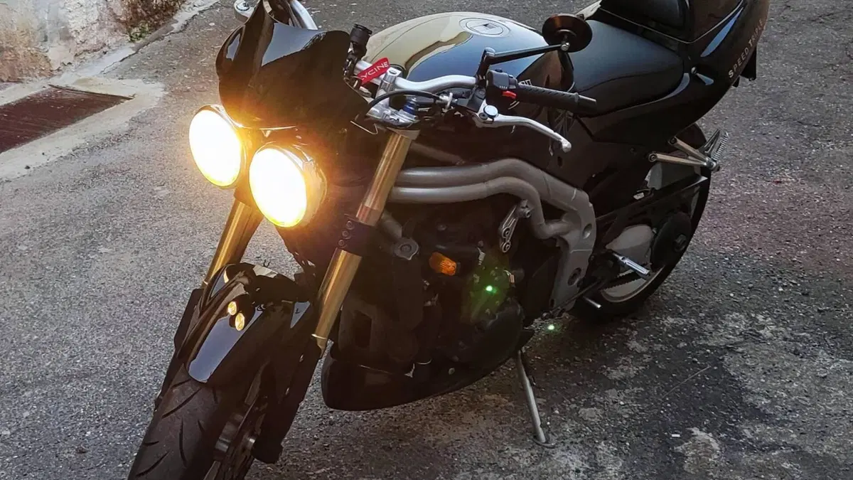 Triumph Speed Triple 955 (2002 - 04)  (2)