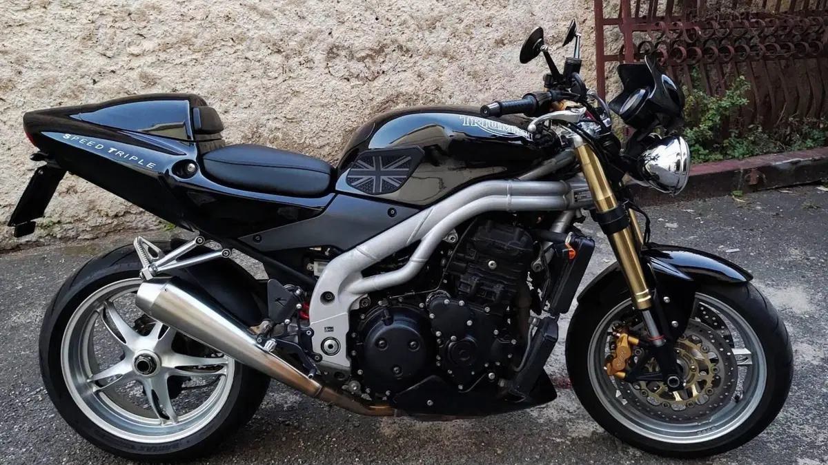 Triumph Speed Triple 955 (2002 - 04)  (4)