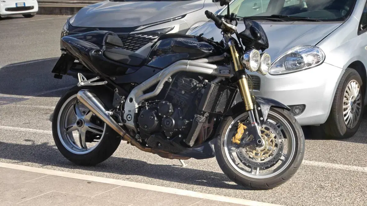 Triumph Speed Triple 955 (2002 - 04)  (5)