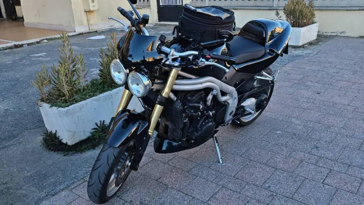 Triumph Speed Triple 955 (2002 - 04)  (7)