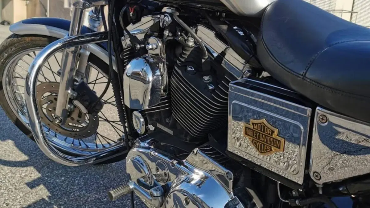 Harley-Davidson 1200 Custom (2001 - 03) - XL 1200C  (3)