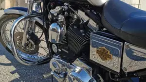 Harley-Davidson 1200 Custom (2001 - 03) - XL 1200C  (3)