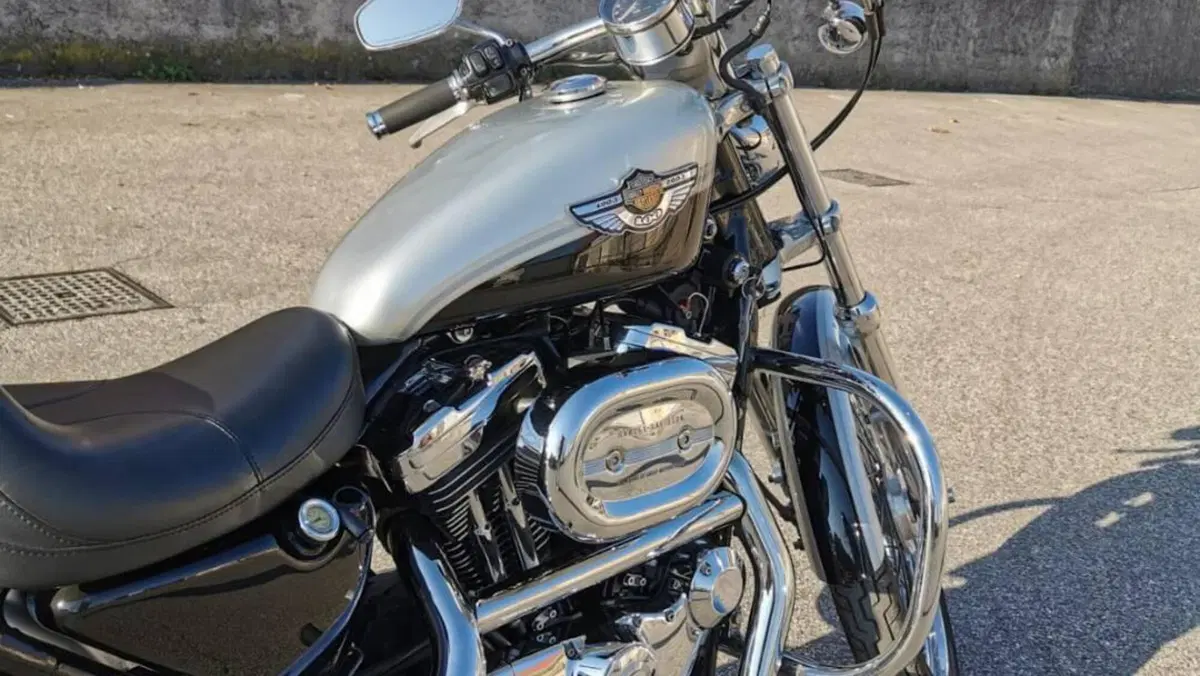 Harley-Davidson 1200 Custom (2001 - 03) - XL 1200C  (5)