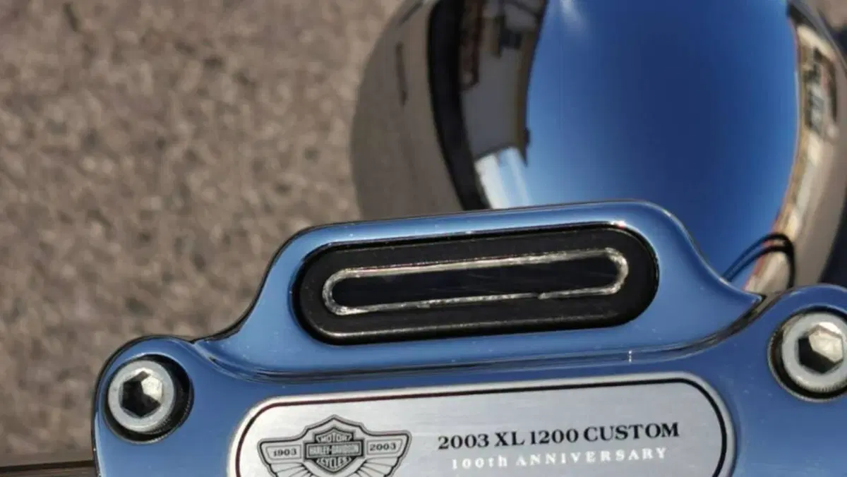 Harley-Davidson 1200 Custom (2001 - 03) - XL 1200C  (6)