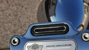 Harley-Davidson 1200 Custom (2001 - 03) - XL 1200C  (6)