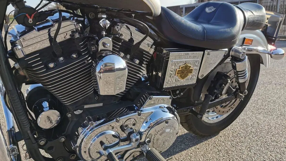 Harley-Davidson 1200 Custom (2001 - 03) - XL 1200C  (7)