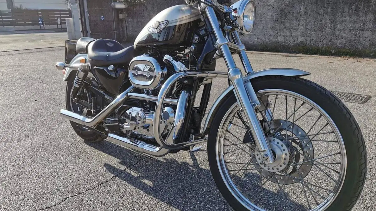 Harley-Davidson 1200 Custom (2001 - 03) - XL 1200C  (8)