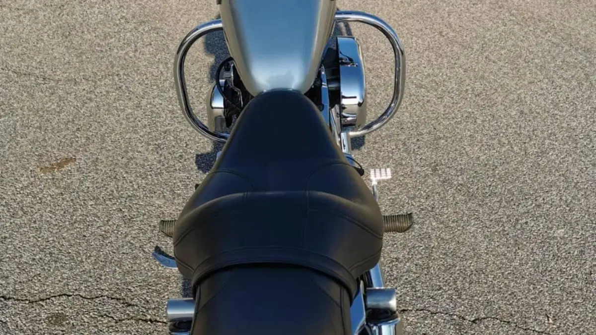 Harley-Davidson 1200 Custom (2001 - 03) - XL 1200C  (9)