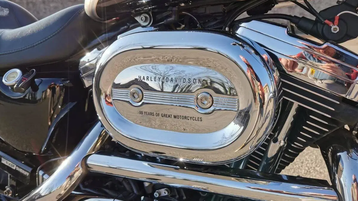 Harley-Davidson 1200 Custom (2001 - 03) - XL 1200C  (10)