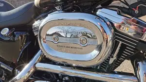 Harley-Davidson 1200 Custom (2001 - 03) - XL 1200C  (10)