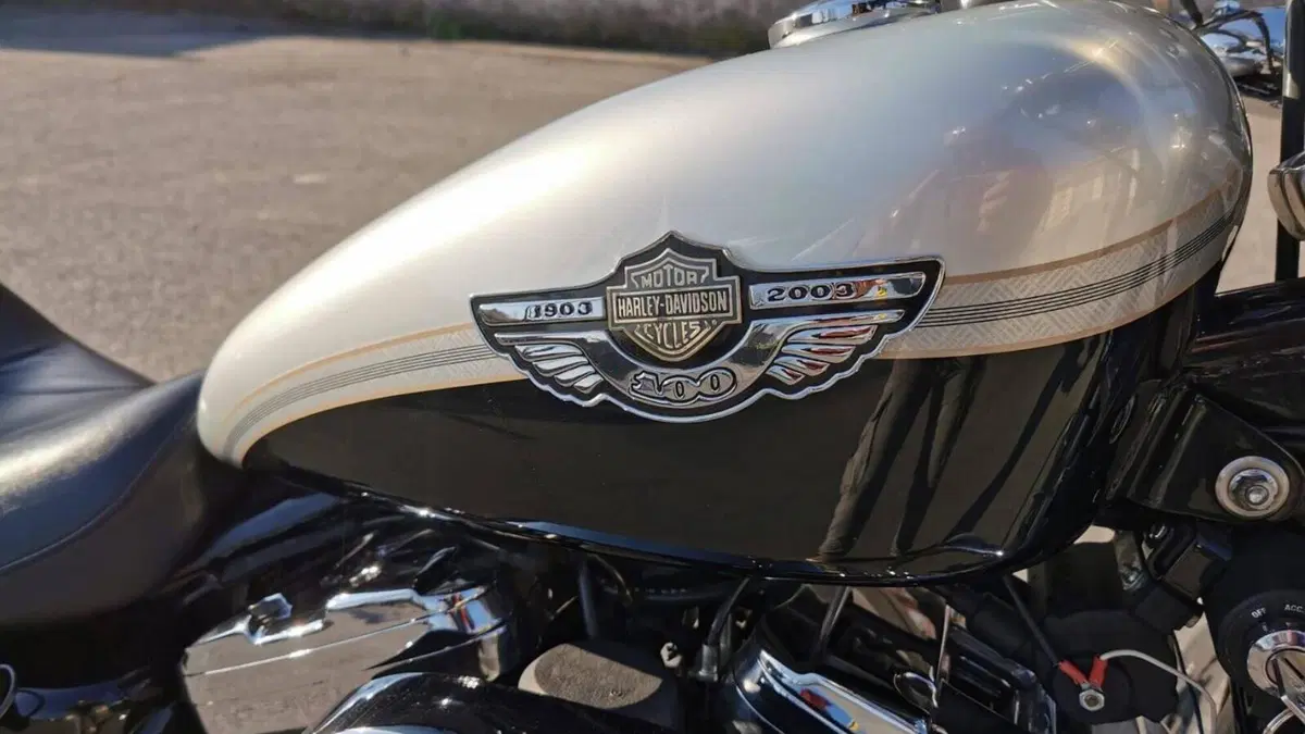 Harley-Davidson 1200 Custom (2001 - 03) - XL 1200C  (11)