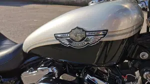 Harley-Davidson 1200 Custom (2001 - 03) - XL 1200C  (11)