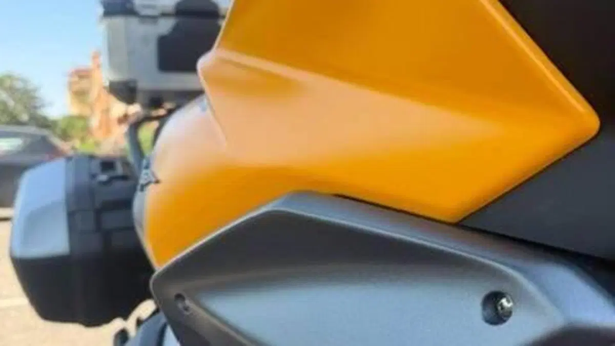 Moto Guzzi Stelvio (2024 - 26)  (6)