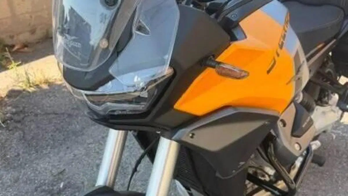 Moto Guzzi Stelvio (2024 - 26)  (14)