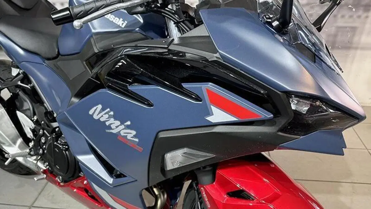 Kawasaki Ninja 500 SE (2024 - 26)  (6)