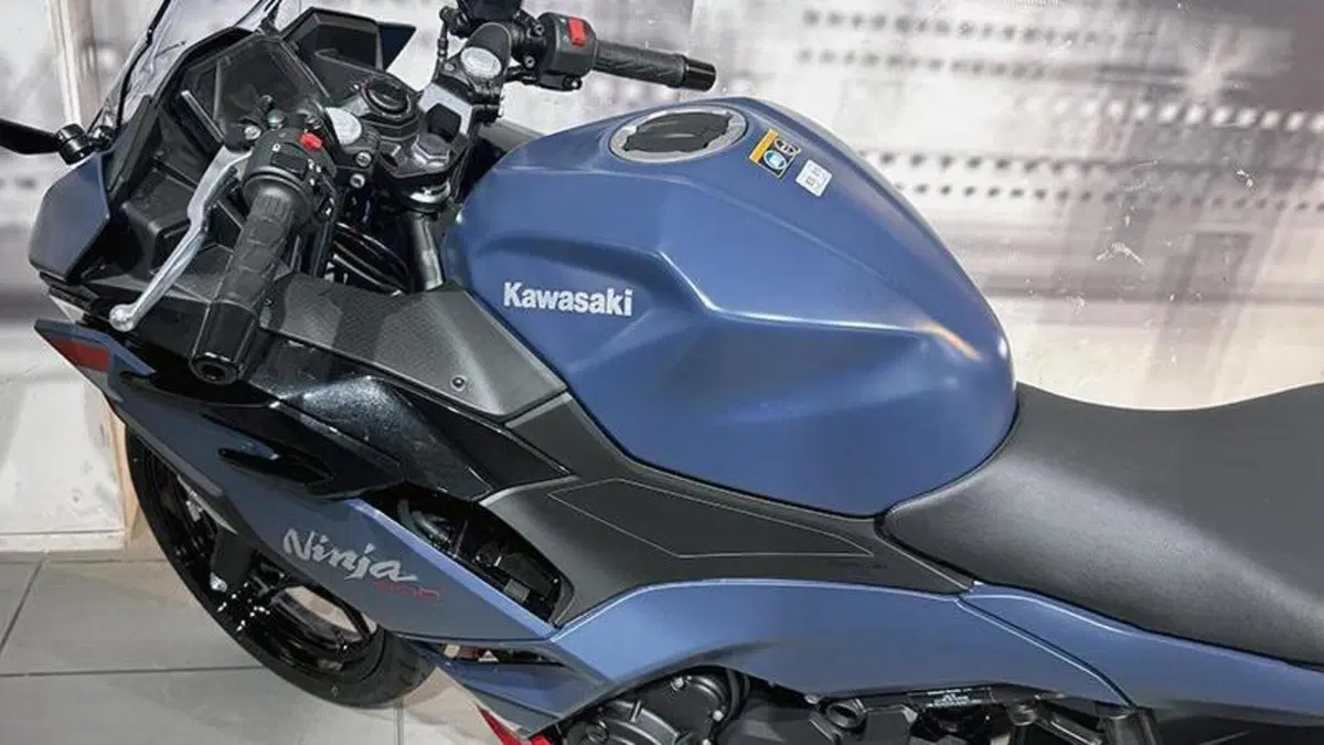 Kawasaki Ninja 500 SE (2024 - 26)  (9)