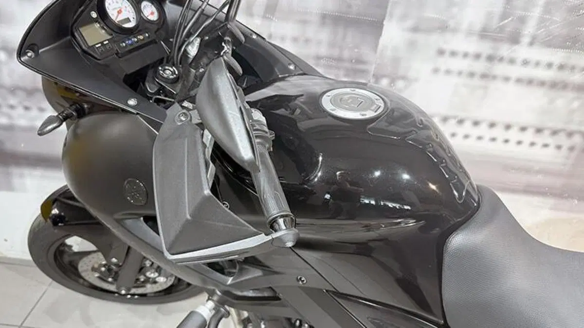 Yamaha TDM 900 (2002 - 14)  (5)