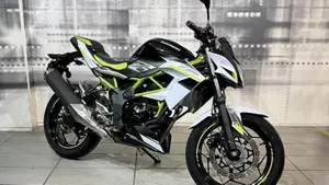 Kawasaki Z 125 (2019 - 20) 