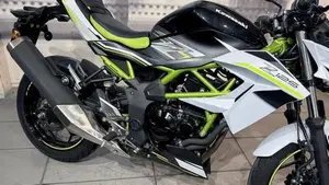 Kawasaki Z 125 (2019 - 20)  (4)