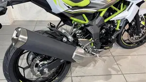 Kawasaki Z 125 (2019 - 20)  (6)