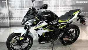 Kawasaki Z 125 (2019 - 20)  (7)