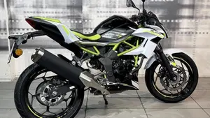 Kawasaki Z 125 (2019 - 20)  (8)