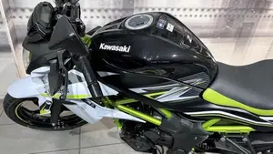 Kawasaki Z 125 (2019 - 20)  (9)